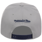 Detroit Tigers Mitchell & Ness MLB 'Era Flip' Heritage Series Pro Pinch - Grey/Navy