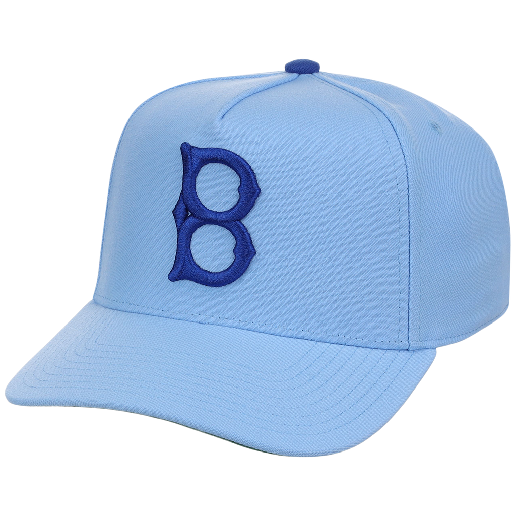 Brooklyn Dodgers Mitchell & Ness MLB 'Era Flip' Heritage Series Pro Pinch - Sky/Sky