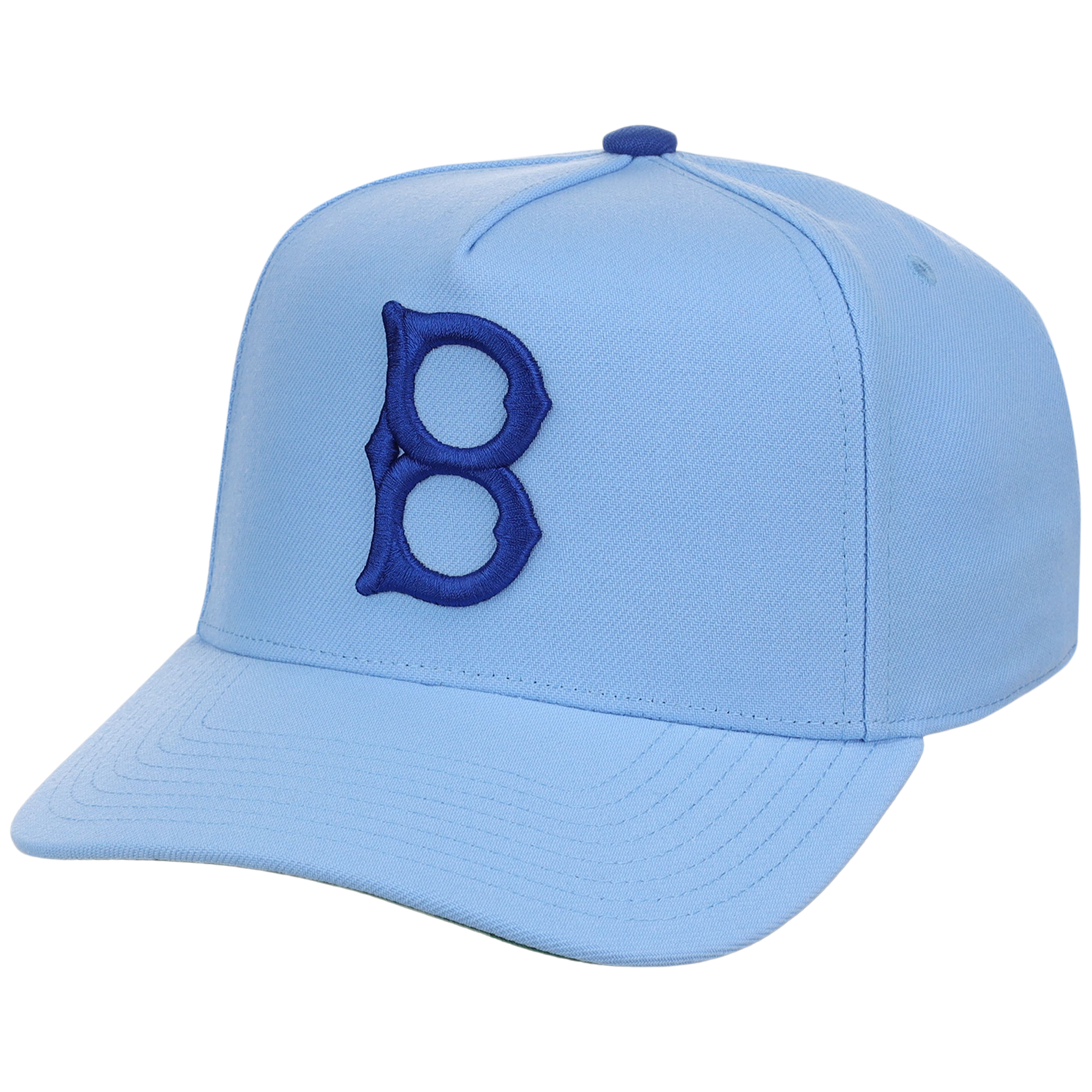 Brooklyn Dodgers Mitchell & Ness MLB 'Era Flip' Heritage Series Pro Pinch - Sky/Sky