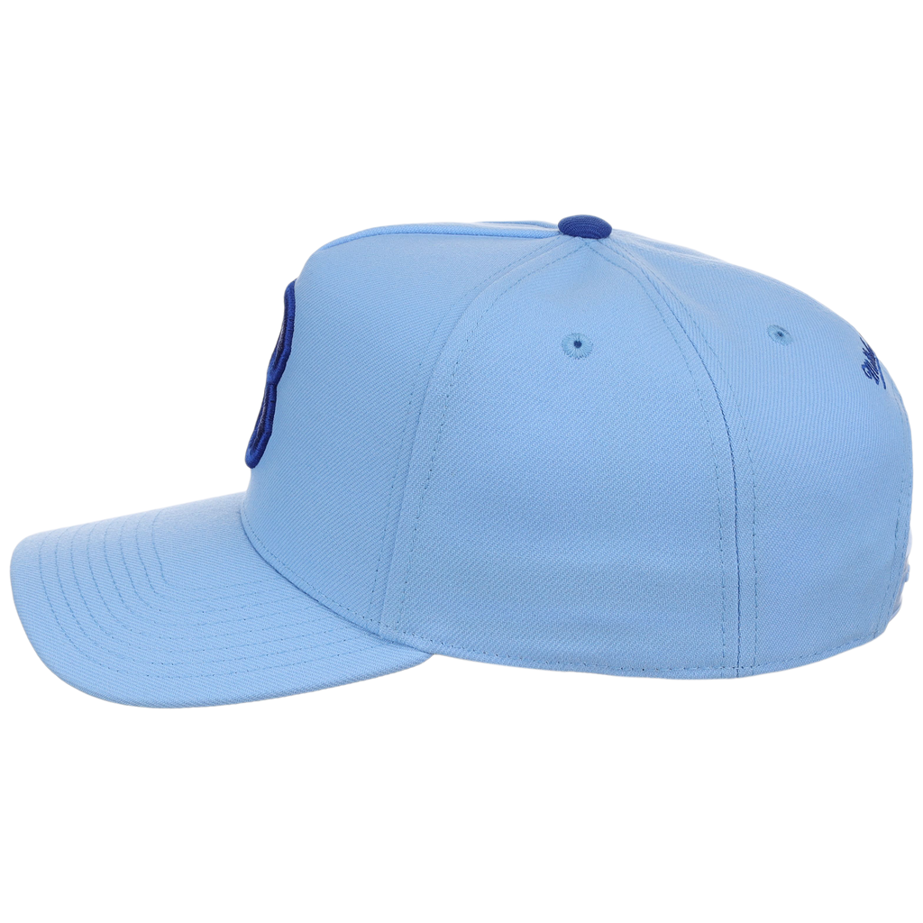 Brooklyn Dodgers Mitchell & Ness MLB 'Era Flip' Heritage Series Pro Pinch - Sky/Sky