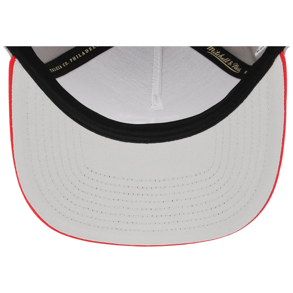 Minnesota Twins Mitchell & Ness MLB 'Era Flip' Heritage Series Pro Pinch - Grey/Red