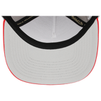 Minnesota Twins Mitchell & Ness MLB 'Era Flip' Heritage Series Pro Pinch - Grey/Red