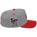 Minnesota Twins Mitchell & Ness MLB 'Era Flip' Heritage Series Pro Pinch - Grey/Red