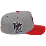 Minnesota Twins Mitchell & Ness MLB 'Era Flip' Heritage Series Pro Pinch - Grey/Red