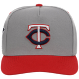Minnesota Twins Mitchell & Ness MLB 'Era Flip' Heritage Series Pro Pinch - Grey/Red