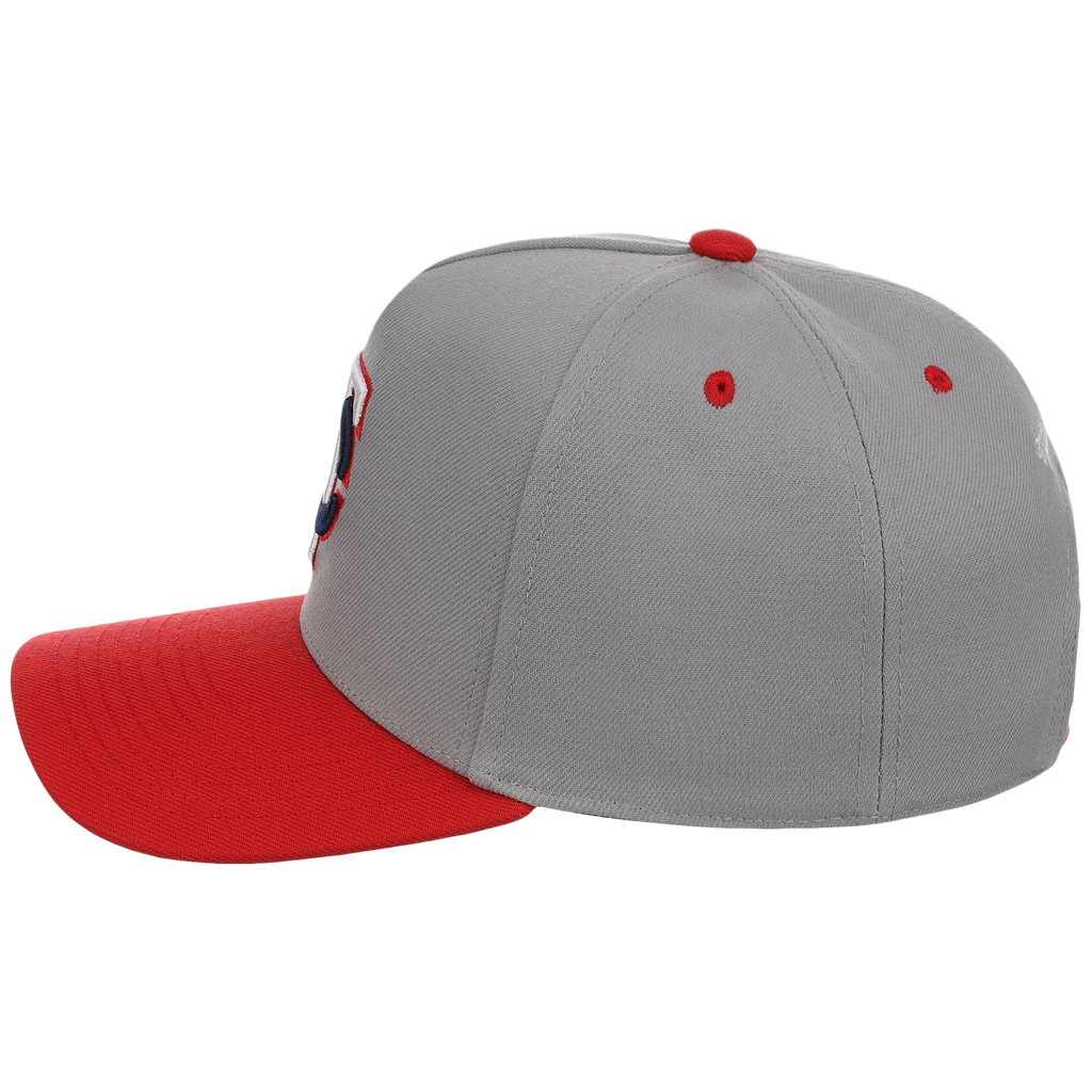 Minnesota Twins Mitchell & Ness MLB 'Era Flip' Heritage Series Pro Pinch - Grey/Red
