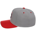 Minnesota Twins Mitchell & Ness MLB 'Era Flip' Heritage Series Pro Pinch - Grey/Red