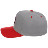 Minnesota Twins Mitchell & Ness MLB 'Era Flip' Heritage Series Pro Pinch - Grey/Red