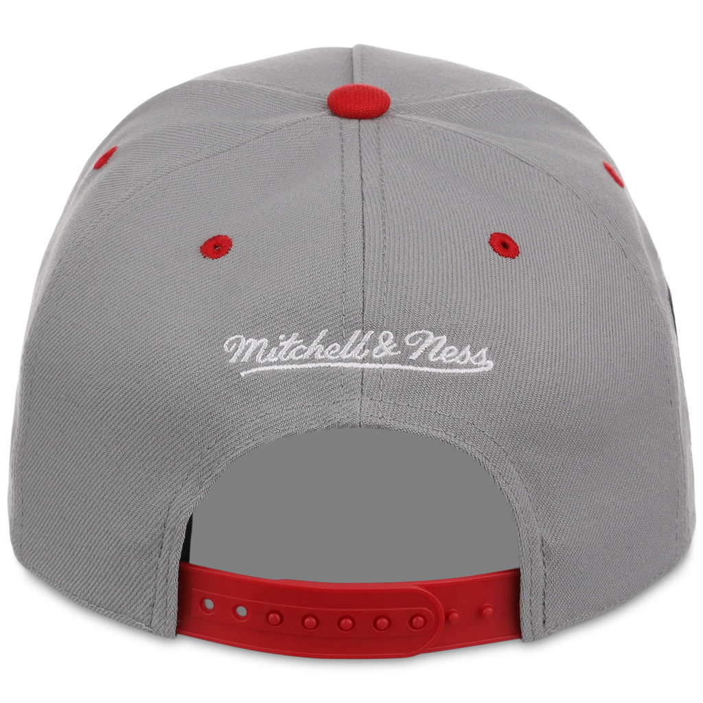 Minnesota Twins Mitchell & Ness MLB 'Era Flip' Heritage Series Pro Pinch - Grey/Red