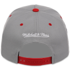 Minnesota Twins Mitchell & Ness MLB 'Era Flip' Heritage Series Pro Pinch - Grey/Red