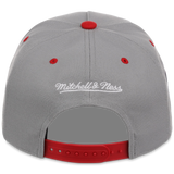 Minnesota Twins Mitchell & Ness MLB 'Era Flip' Heritage Series Pro Pinch - Grey/Red