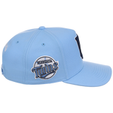 Minnesota Twins Mitchell & Ness MLB 'Era Flip' Heritage Series Pro Pinch - Sky/Sky