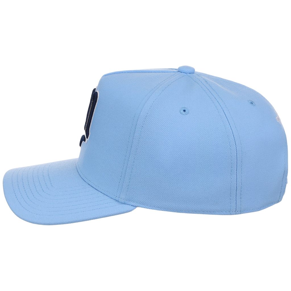 Minnesota Twins Mitchell & Ness MLB 'Era Flip' Heritage Series Pro Pinch - Sky/Sky