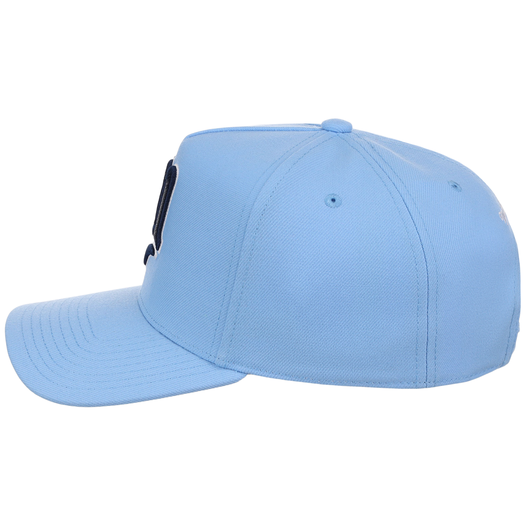 Minnesota Twins Mitchell & Ness MLB 'Era Flip' Heritage Series Pro Pinch - Sky/Sky