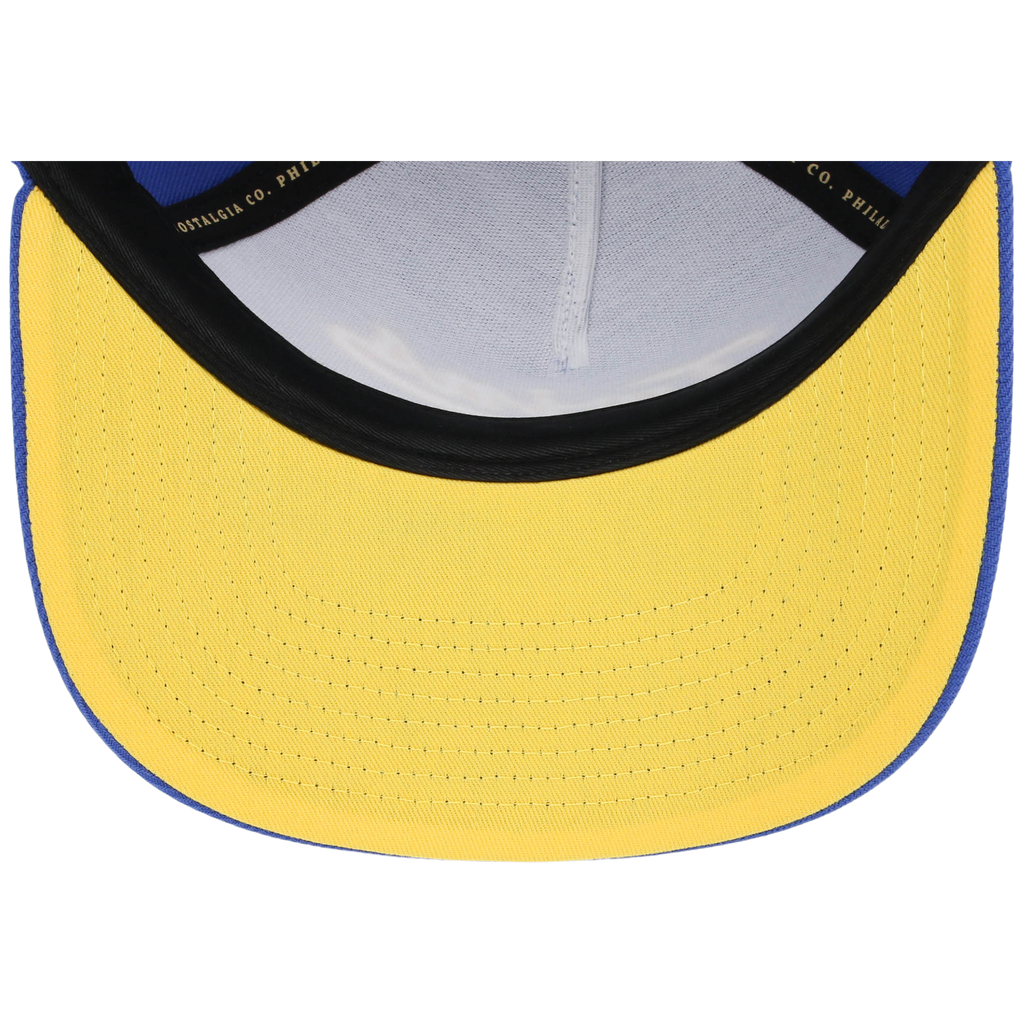 Minnesota Twins Mitchell & Ness MLB 'Era Flip' Heritage Series Pro Pinch - Royal/Royal