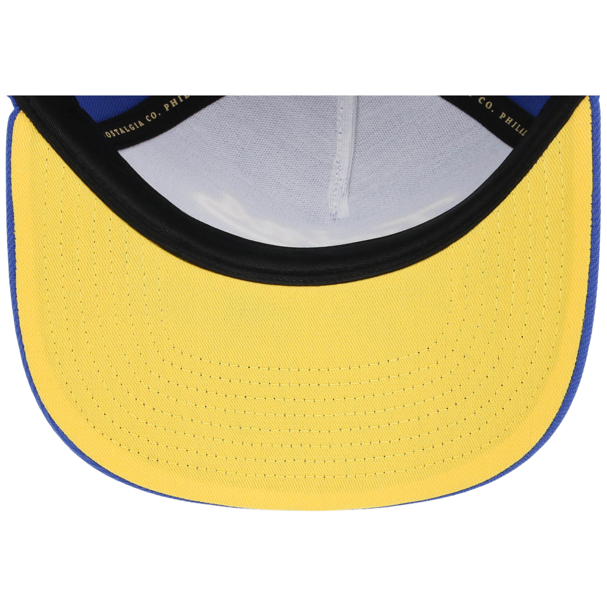 Minnesota Twins Mitchell & Ness MLB 'Era Flip' Heritage Series Pro Pinch - Royal/Royal