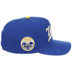 Minnesota Twins Mitchell & Ness MLB 'Era Flip' Heritage Series Pro Pinch - Royal/Royal