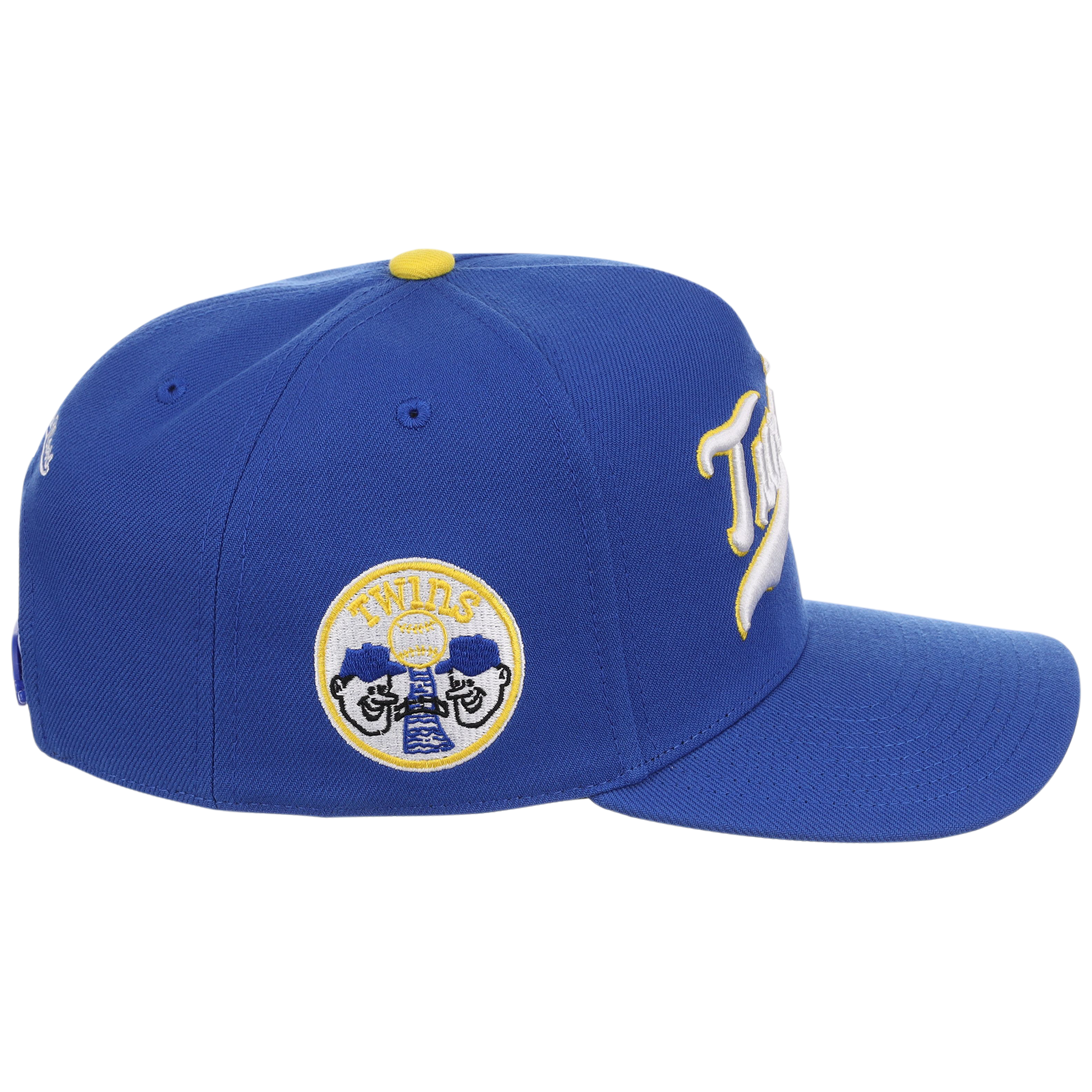 Minnesota Twins Mitchell & Ness MLB 'Era Flip' Heritage Series Pro Pinch - Royal/Royal