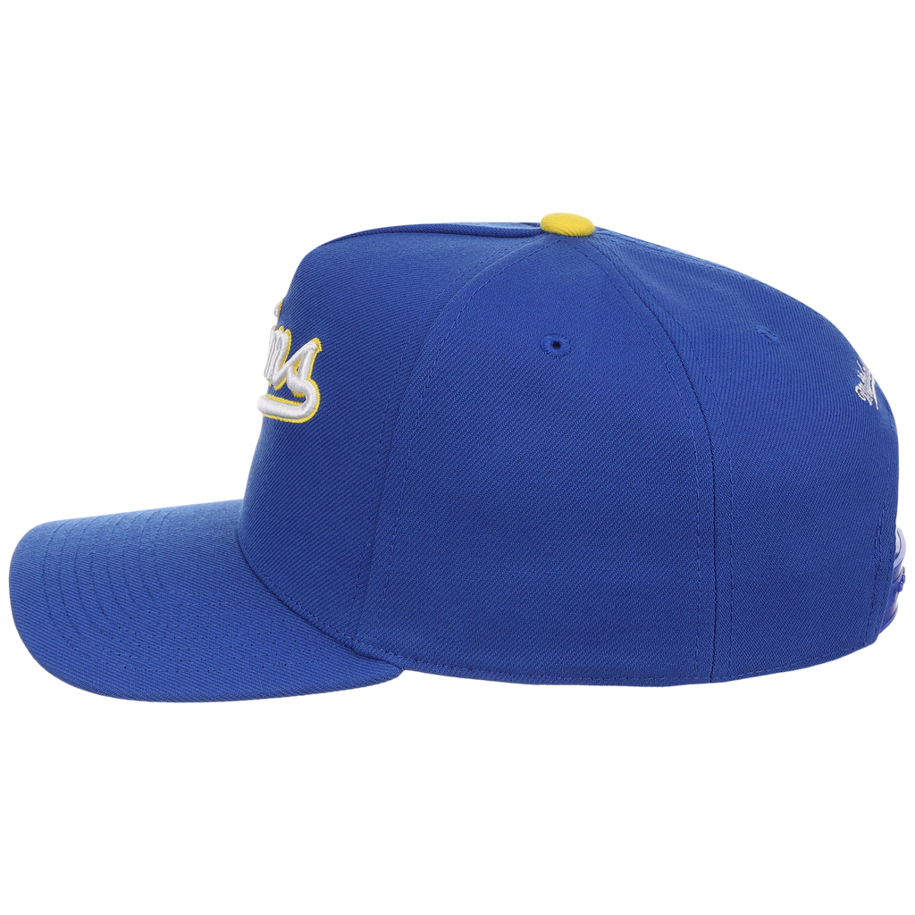 Minnesota Twins Mitchell & Ness MLB 'Era Flip' Heritage Series Pro Pinch - Royal/Royal
