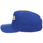 Minnesota Twins Mitchell & Ness MLB 'Era Flip' Heritage Series Pro Pinch - Royal/Royal