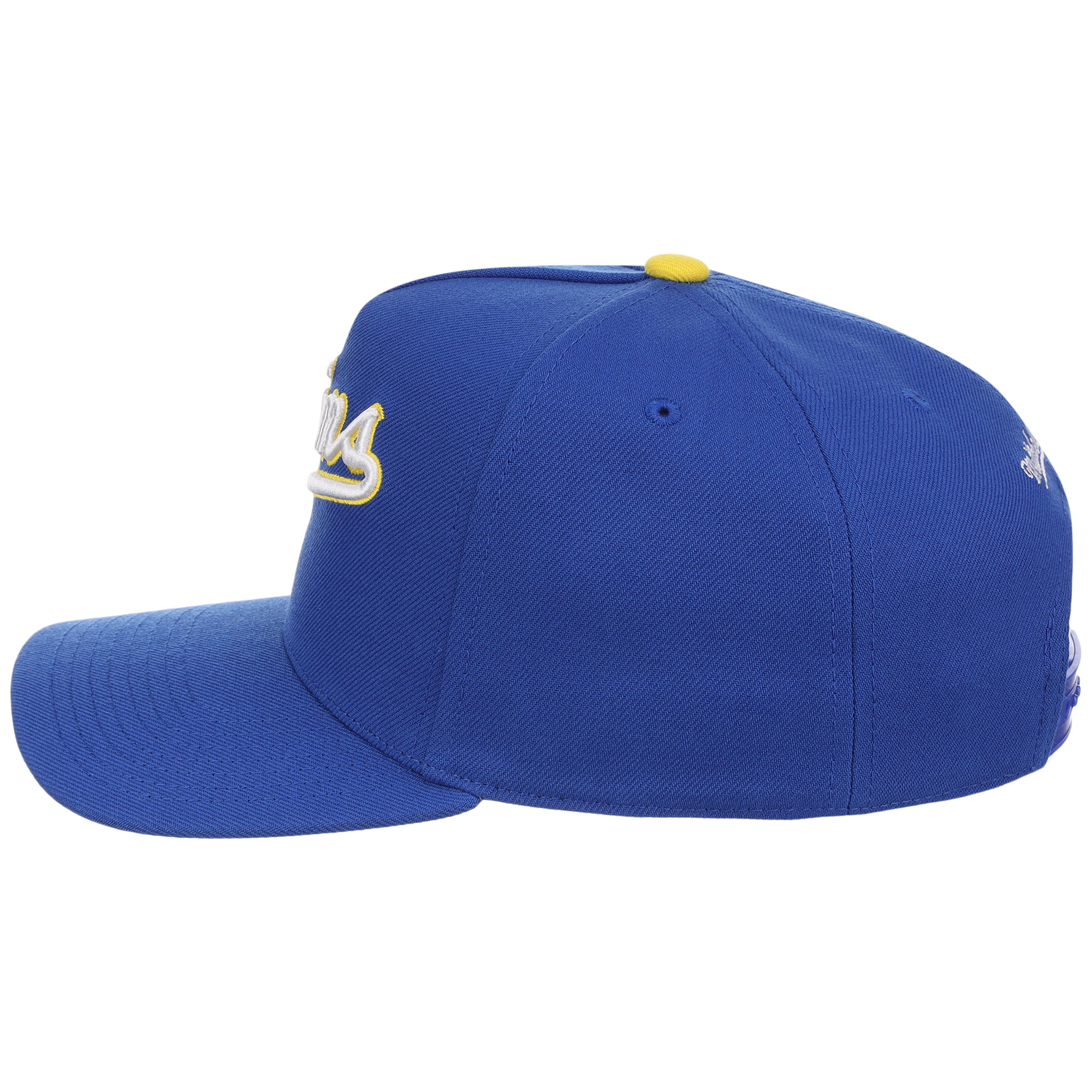 Minnesota Twins Mitchell & Ness MLB 'Era Flip' Heritage Series Pro Pinch - Royal/Royal