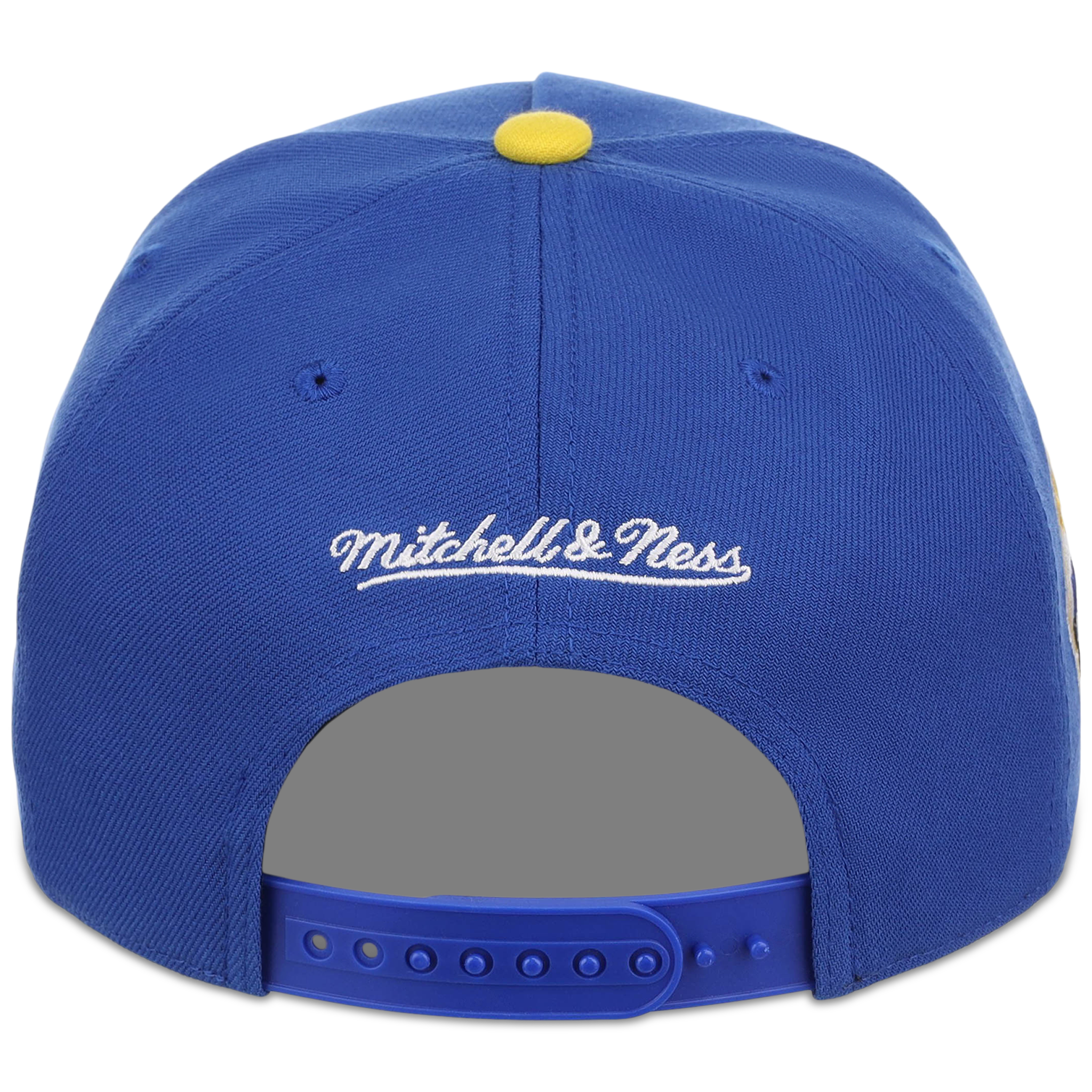 Minnesota Twins Mitchell & Ness MLB 'Era Flip' Heritage Series Pro Pinch - Royal/Royal