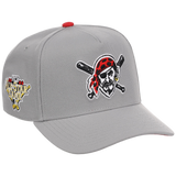 Pittsburgh Pirates Mitchell & Ness MLB 'Era Flip' Heritage Series Pro Pinch - Grey/Grey