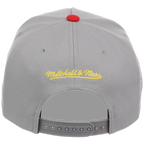 Pittsburgh Pirates Mitchell & Ness MLB 'Era Flip' Heritage Series Pro Pinch - Grey/Grey