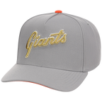 San Francisco Giants Mitchell & Ness MLB 'Era Flip' Heritage Series Pro Pinch - Grey/Grey