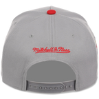 St. Louis Cardinals Mitchell & Ness MLB 'Era Flip' Heritage Series Pro Pinch - Grey/Grey