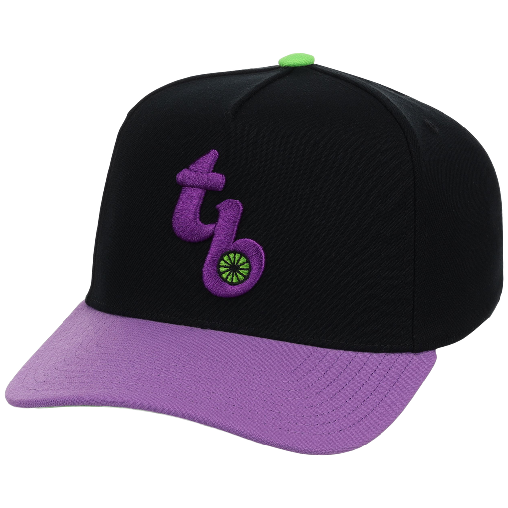 Tampa Bay Rays Mitchell & Ness MLB 'Era Flip' Heritage Series Pro Pinch - Black/Purple