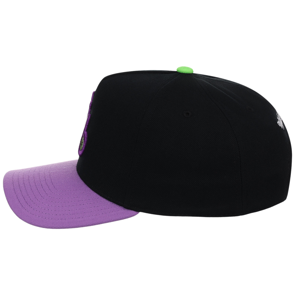 Tampa Bay Rays Mitchell & Ness MLB 'Era Flip' Heritage Series Pro Pinch - Black/Purple