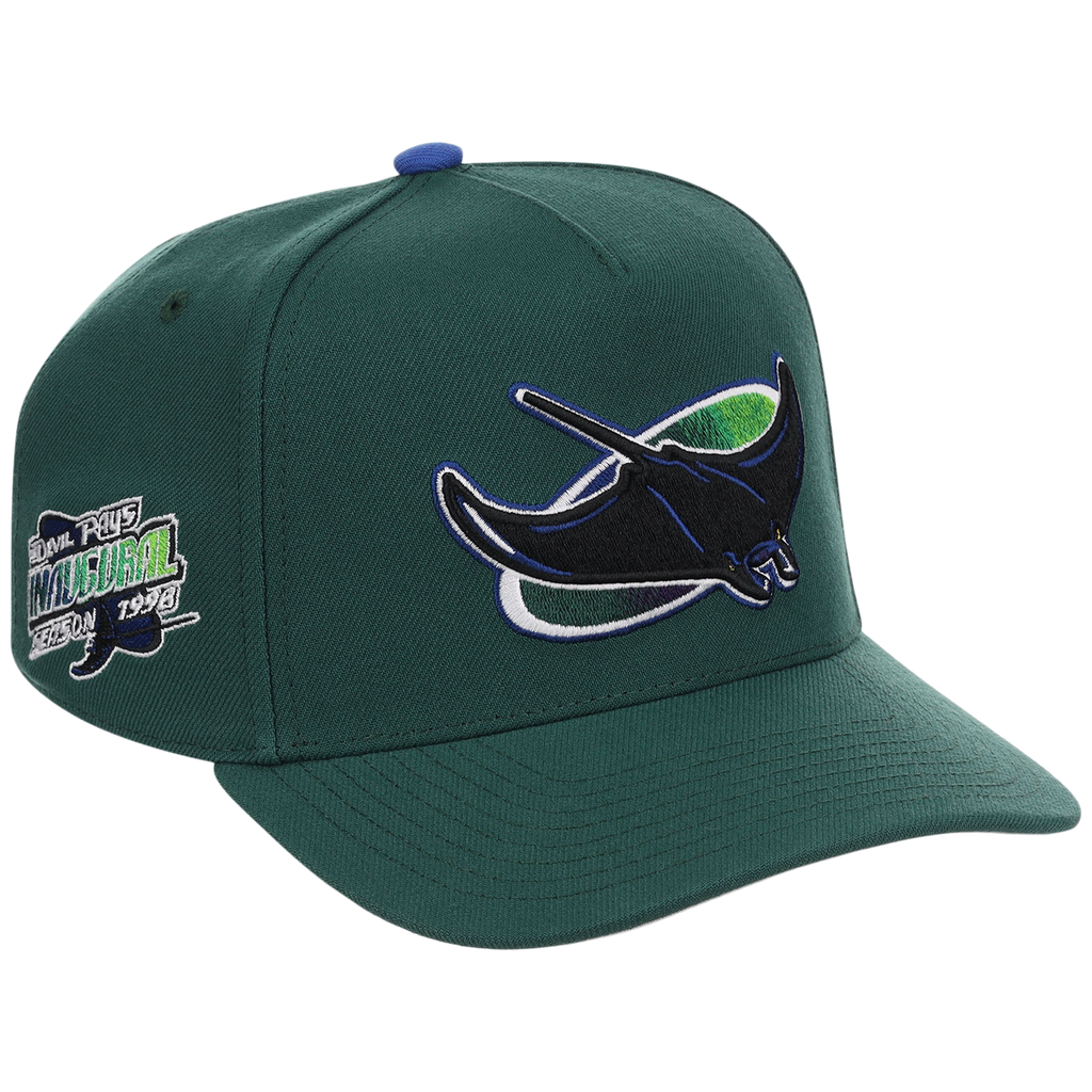 Tampa Bay Rays Mitchell & Ness MLB 'Era Flip' Heritage Series Pro Pinch - Green/Green