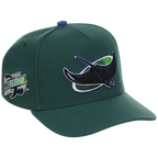 Tampa Bay Rays Mitchell & Ness MLB 'Era Flip' Heritage Series Pro Pinch - Green/Green