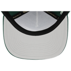 Tampa Bay Rays Mitchell & Ness MLB 'Era Flip' Heritage Series Pro Pinch - Green/Green