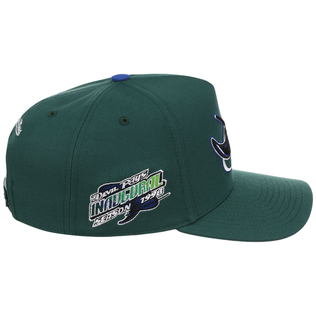 Tampa Bay Rays Mitchell & Ness MLB 'Era Flip' Heritage Series Pro Pinch - Green/Green