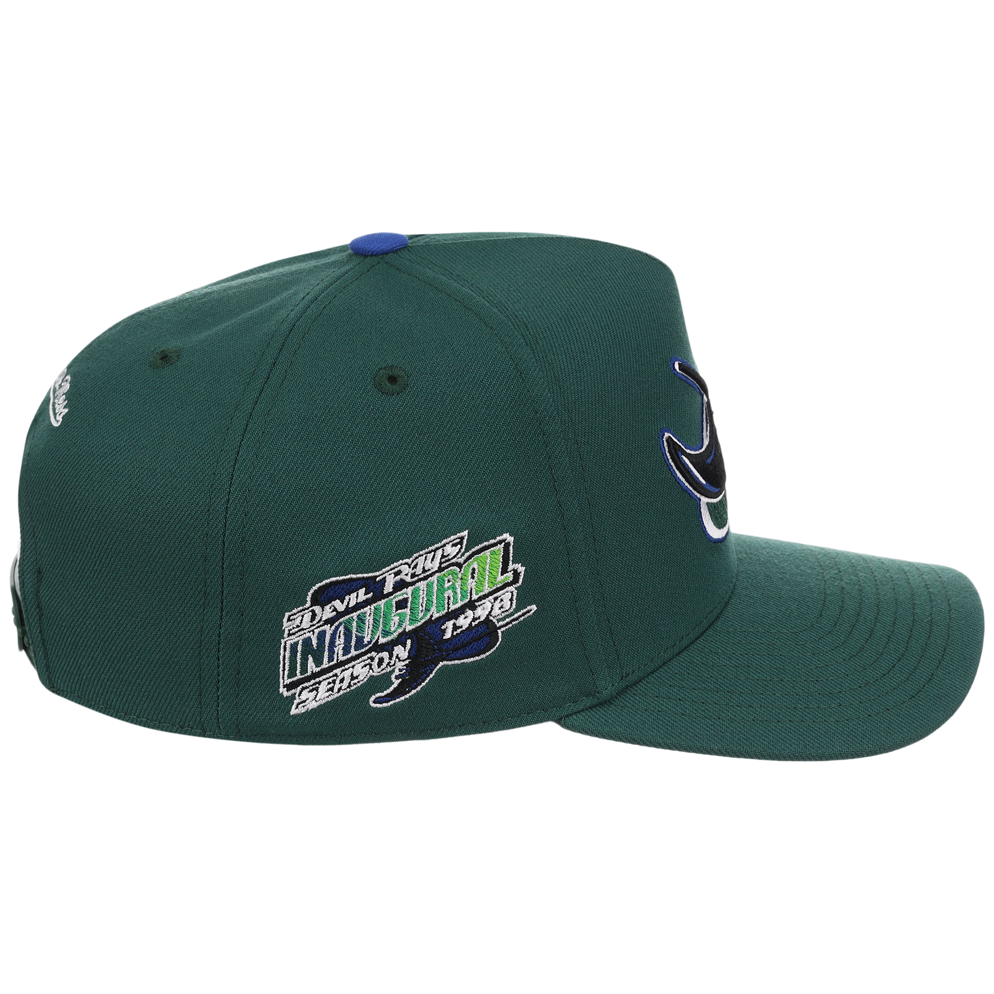 Tampa Bay Rays Mitchell & Ness MLB 'Era Flip' Heritage Series Pro Pinch - Green/Green