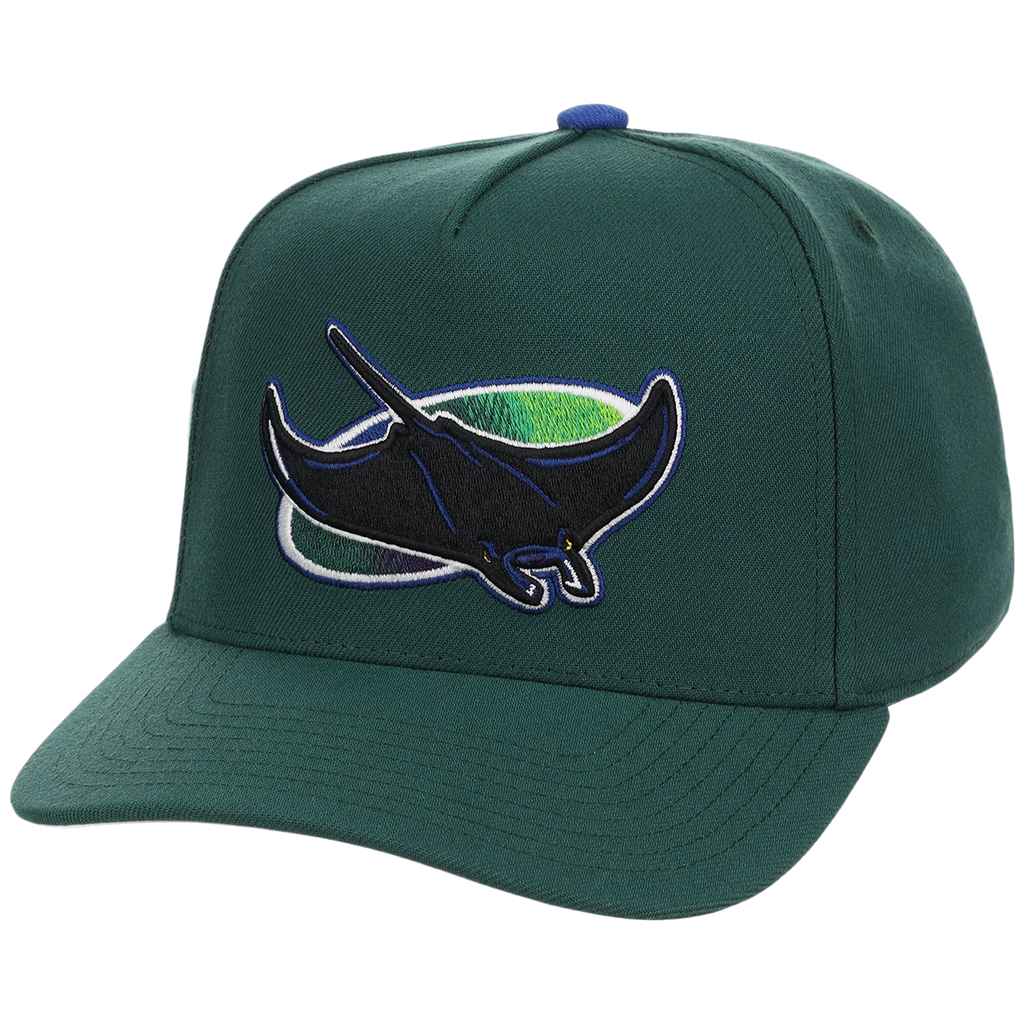 Tampa Bay Rays Mitchell & Ness MLB 'Era Flip' Heritage Series Pro Pinch - Green/Green