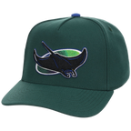 Tampa Bay Rays Mitchell & Ness MLB 'Era Flip' Heritage Series Pro Pinch - Green/Green