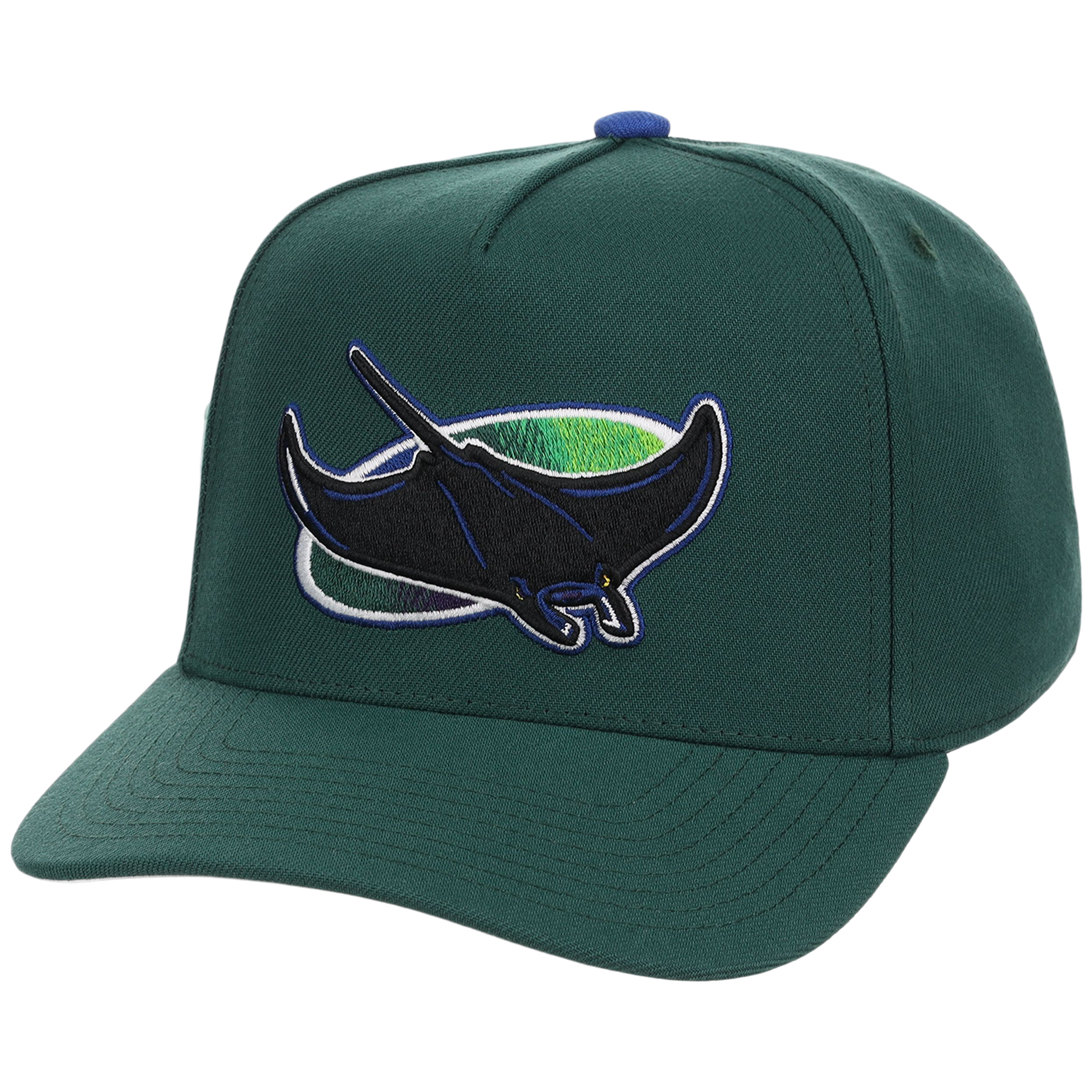 Tampa Bay Rays Mitchell & Ness MLB 'Era Flip' Heritage Series Pro Pinch - Green/Green