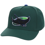Tampa Bay Rays Mitchell & Ness MLB 'Era Flip' Heritage Series Pro Pinch - Green/Green
