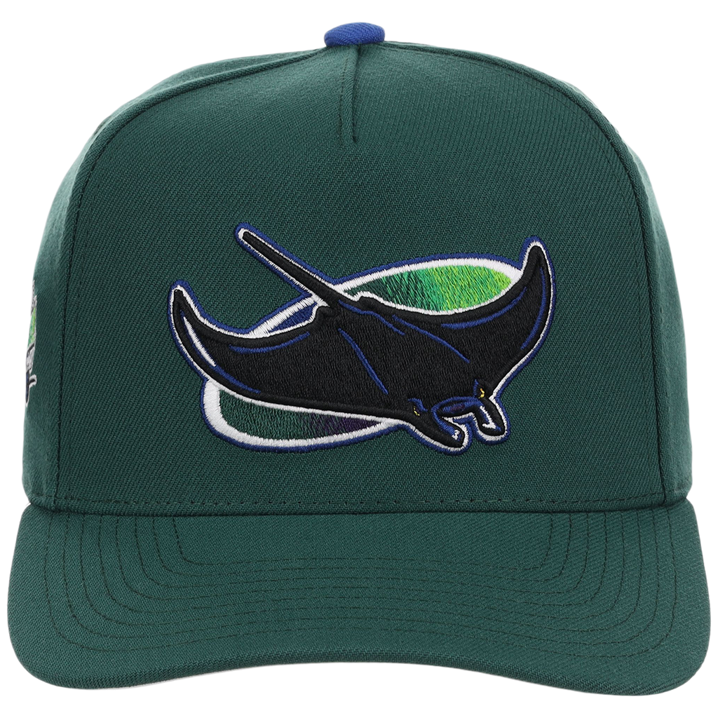 Tampa Bay Rays Mitchell & Ness MLB 'Era Flip' Heritage Series Pro Pinch - Green/Green