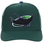 Tampa Bay Rays Mitchell & Ness MLB 'Era Flip' Heritage Series Pro Pinch - Green/Green