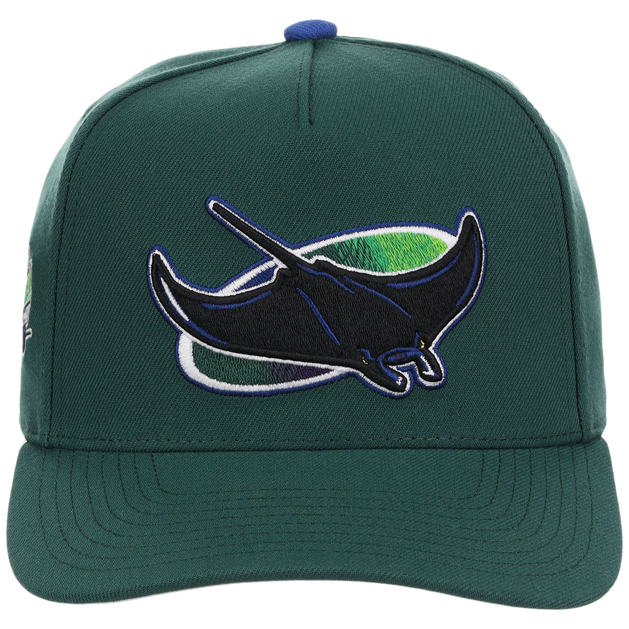 Tampa Bay Rays Mitchell & Ness MLB 'Era Flip' Heritage Series Pro Pinch - Green/Green