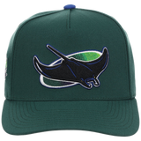 Tampa Bay Rays Mitchell & Ness MLB 'Era Flip' Heritage Series Pro Pinch - Green/Green
