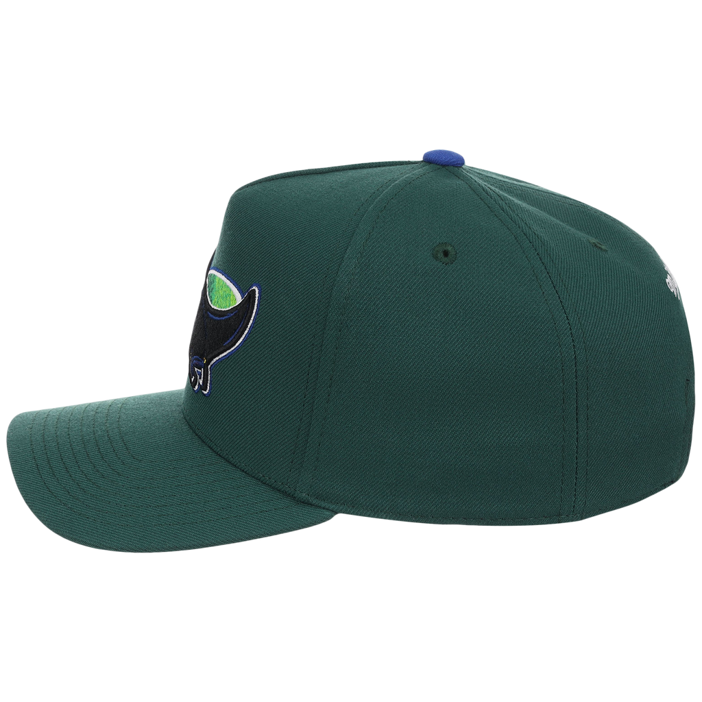 Tampa Bay Rays Mitchell & Ness MLB 'Era Flip' Heritage Series Pro Pinch - Green/Green