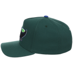 Tampa Bay Rays Mitchell & Ness MLB 'Era Flip' Heritage Series Pro Pinch - Green/Green