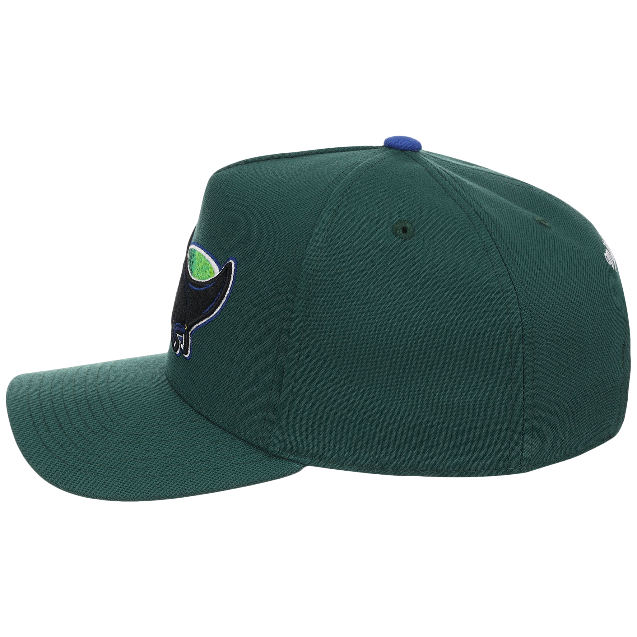 Tampa Bay Rays Mitchell & Ness MLB 'Era Flip' Heritage Series Pro Pinch - Green/Green