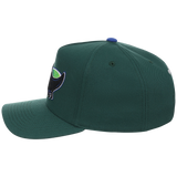Tampa Bay Rays Mitchell & Ness MLB 'Era Flip' Heritage Series Pro Pinch - Green/Green