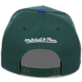 Tampa Bay Rays Mitchell & Ness MLB 'Era Flip' Heritage Series Pro Pinch - Green/Green